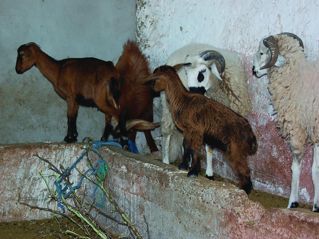 Gite Souss Oulad Teima ภายนอก รูปภาพ