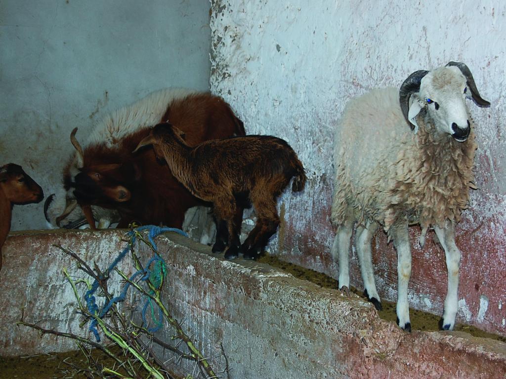 Gite Souss Oulad Teima ภายนอก รูปภาพ